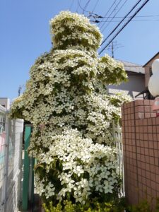 保育参観で笑顔いっぱい！😊！