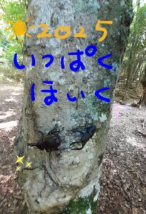 一泊保育🌻2025🌻