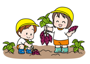 年中組　芋掘り遠足